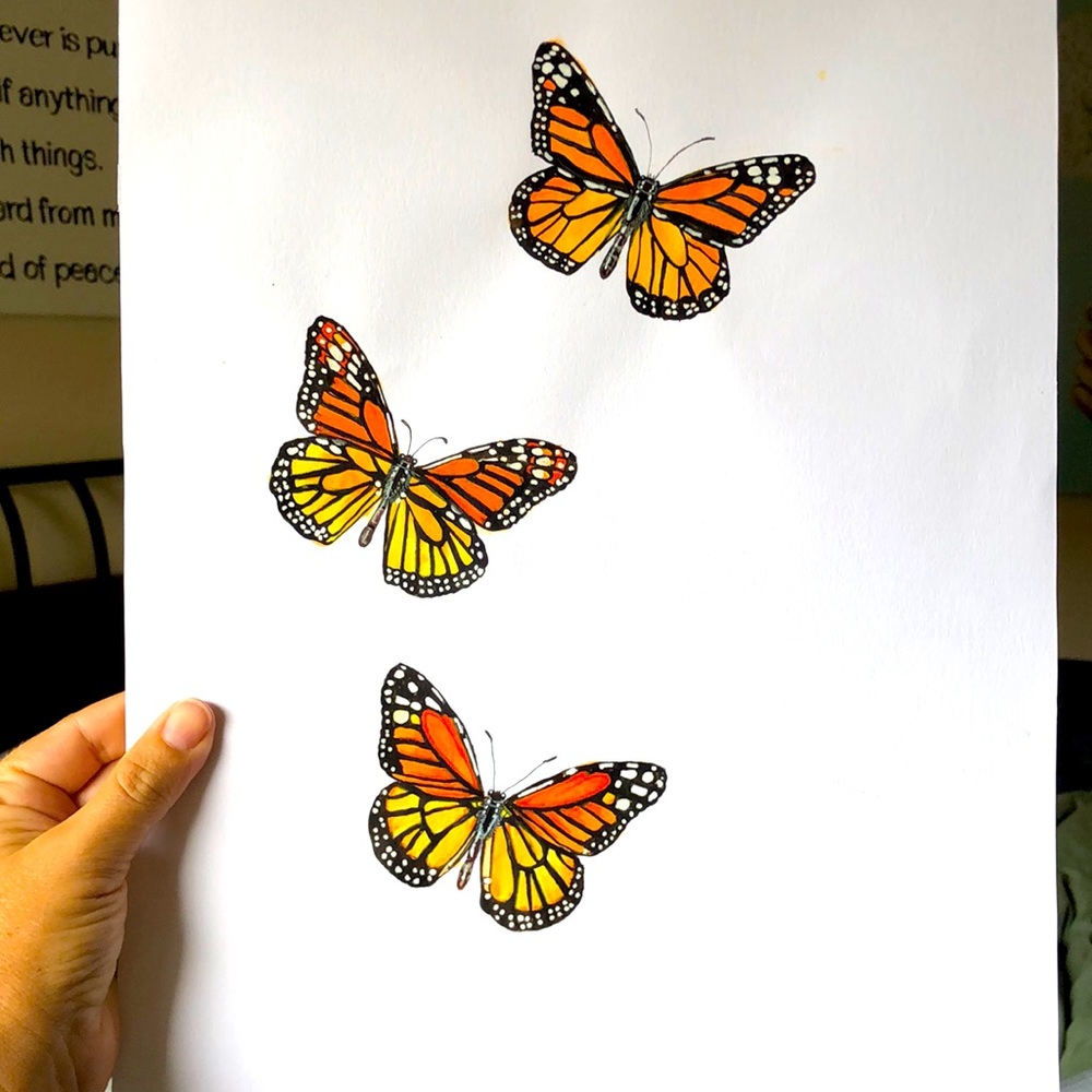 Monarch Butterflies Original painting!